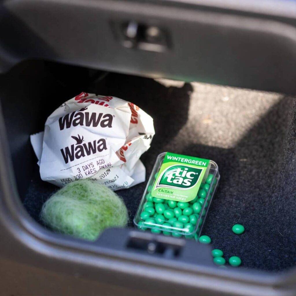 Glovebox macro: crumpled Wawa receipt, Tic Tacs, green fuzzy mystery.
