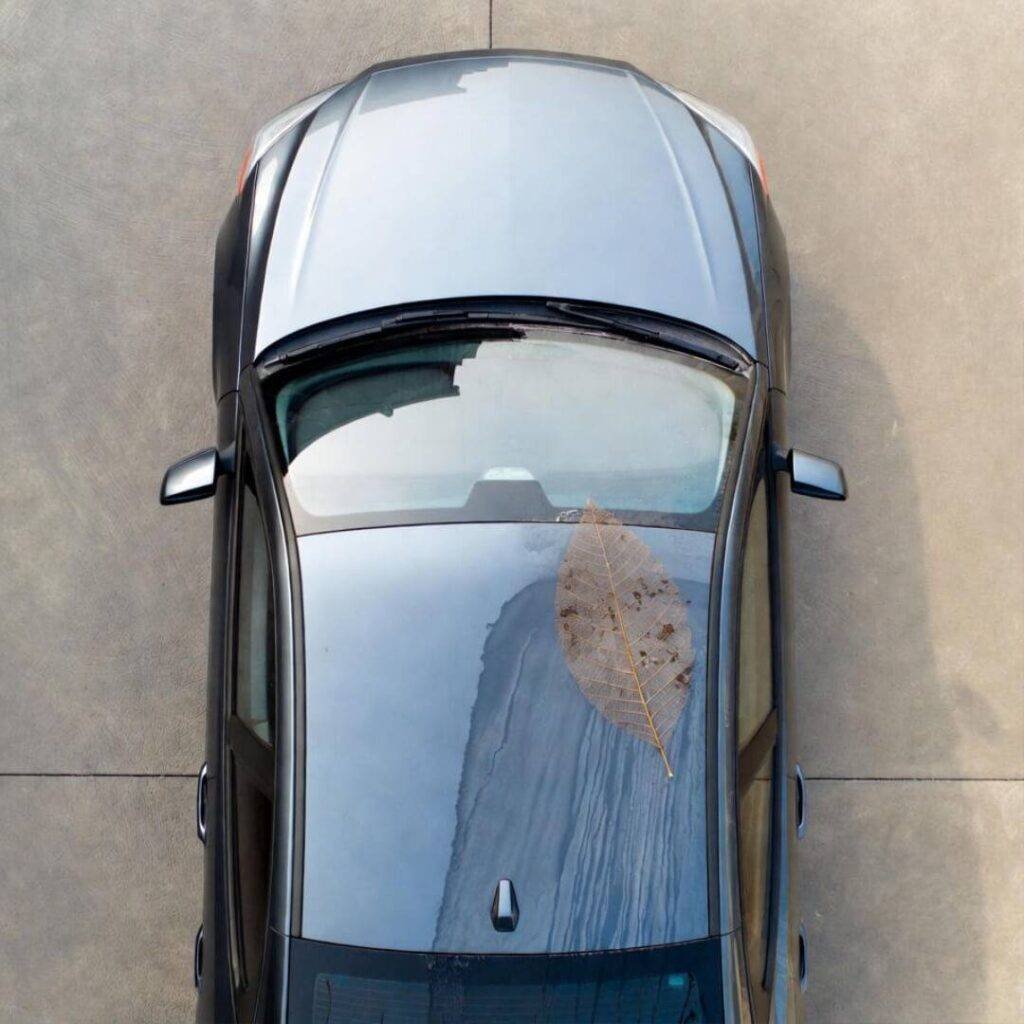 Overhead: half-washed car gleams one side, dusty other with leaf skeleton art.