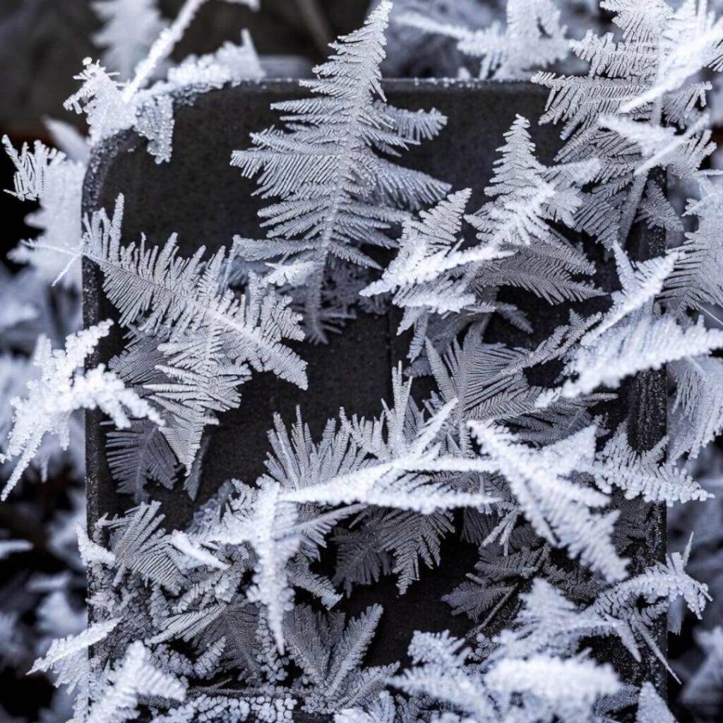 Frost feathers sprout like tiny pines on battery terminal under headlamp glow.