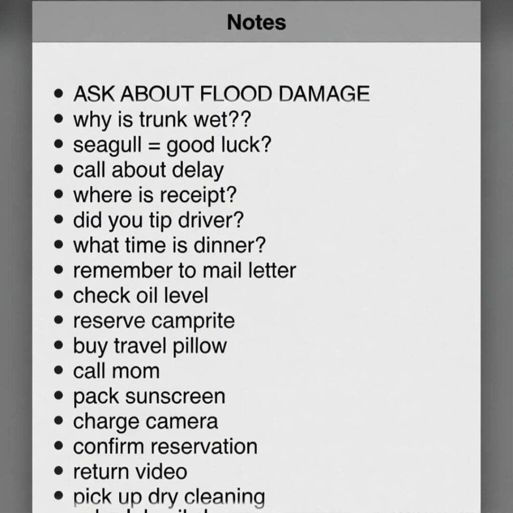 Notes app screenshot: frantic bullets on flood damage, wet trunk, seagull luck.
