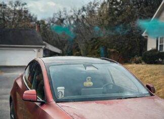 What You Need to Know Before Buying an Electric Car Red Tesla Model Y with frost, charging at dawn, duck on mirror.