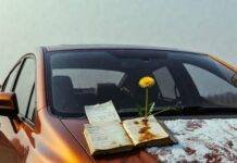 How Proper Maintenance Can Increase Your Car’s Resale Value Half-polished 2012 Honda Civic with salt-crusted hood, stained logbook, and dandelion sprouting.