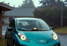 Top 5 Affordable Electric Cars You Can Buy Right Now Rain-soaked teal Nissan Leaf with glowing headlights, burrito on dash, "I Voted" sticker.