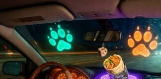 Must-Have Car Accessories for 2025 (Every Driver Needs #3!) Half-eaten burrito on glowing HUD, duct-taped phone plays 90s mixtape, neon paw prints.