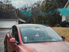 What You Need to Know Before Buying an Electric Car Red Tesla Model Y with frost, charging at dawn, duck on mirror.