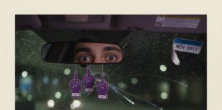 How Much Car Insurance Coverage Do You Really Need? Burrito, insurance quotes, and panicked eyes in car.