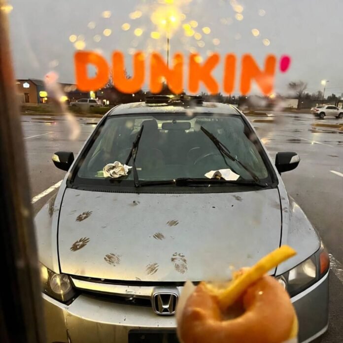 Dented Honda Civic with paw prints and donut, seen through foggy Dunkin' window.
