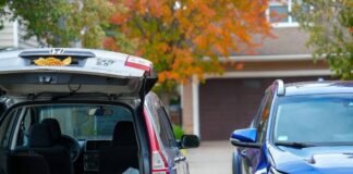 SUVs vs. Crossovers: What’s the Difference? Confused golden retriever between old CR-V and new RAV4, waffle fry on dash.