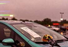 Do Hybrid Cars Really Save You Money? Full Cost Analysis Rain-soaked Prius with burrito, soggy receipt, and confused pigeon in Walmart lot.